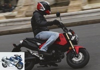 125 - Honda MSX 125 test: taking over from the Dax - Really useful or terribly fun?