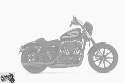 Harley-Davidson 1200 Sportster Iron 2020 technical