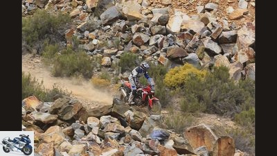 Driving report Honda CRF 1000 L Africa Twin - Part 2 Offroad