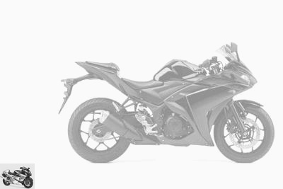 Yamaha 300 YZF-R3 2017 technical