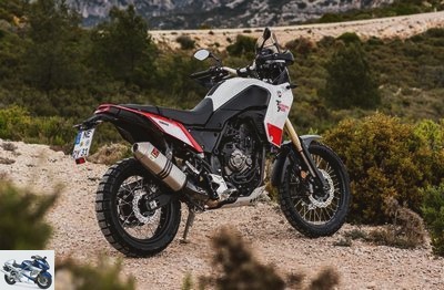 Yamaha 700 Tenere Rally 2019