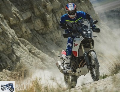 Yamaha 700 Tenere Rally 2019