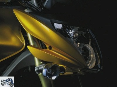 Honda CB 600 F HORNET 2010