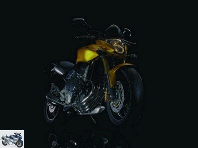 Honda CB 600 F HORNET 2010