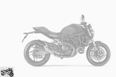 Ducati 821 Monster Stealth 2020 technical