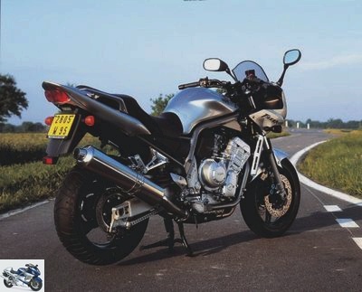 Yamaha 1000 FAZER FZS 2001