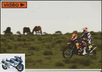 Dakar - Dakar moto 2013 - Stage 9: First for Despres -