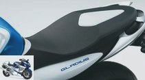 Test: Suzuki Gladius 650