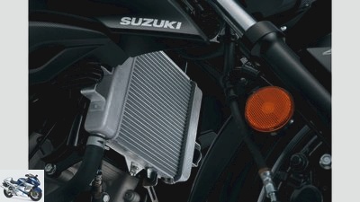 Suzuki GSX-S 125 (2017)