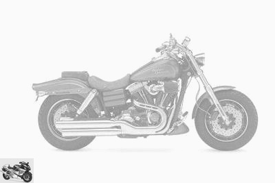 Harley-Davidson 1690 DYNA FAT BOB FXDF 2017 technique