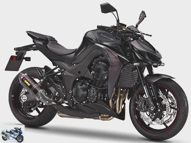 Kawasaki Z 1000 Performance 2020