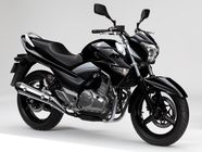 Suzuki motorcycle Inazuma 250 from 2013 - technical data