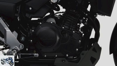 Suzuki V-Strom 250 in the driving report