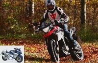 BMW G 310 GS in the top test