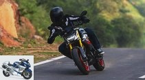 BMW G 310 R (2021): Update also for the street version