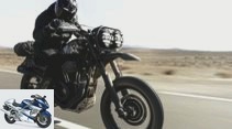 Harley-Davidson 1200 Roadster Desert Wolve from El Solitario