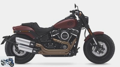 Harley-Davidson Softail models 2018 in the driving report