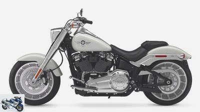 Harley-Davidson Softail models 2018 in the driving report
