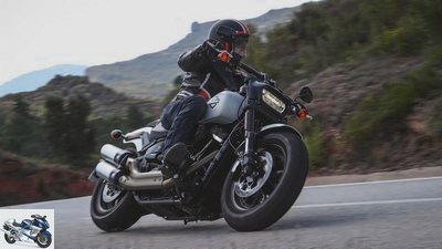 Harley-Davidson Softail Fat Bob in the driving report
