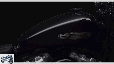 Harley-Davidson Softail Standard: Reduced to the essentials