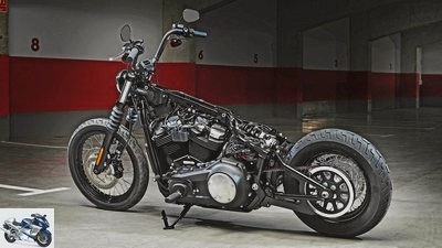 Harley-Davidson Softail Street Bob in the driving report