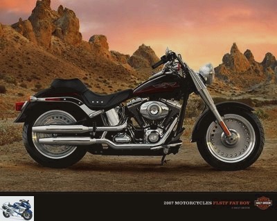 Harley-Davidson 1584 SOFTAIL FAT BOY FLSTF 2008