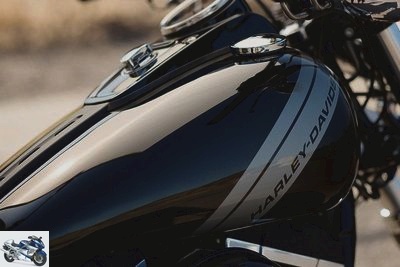 Harley-Davidson 1690 DYNA FAT BOB FXDF 2014