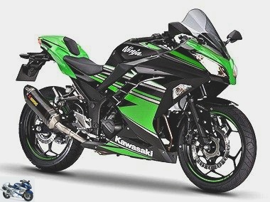 Kawasaki Ninja 300 KRT Performance 2016