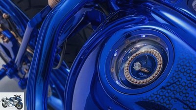 Bundnerbikes Blue Edition Softail