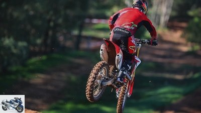 Honda CRF 450 R (2017) in the driving report