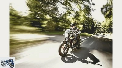 Cafe racers in the comparison test