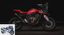 CB 650 R Rally from Honda Wingmotor: From naked bikes to rally robbers