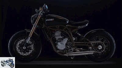 CCM puts out delicious special models from its single-cylinder models.