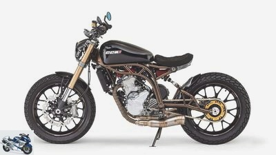 CCM puts out delicious special models from its single-cylinder models.