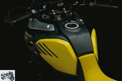 Suzuki DL 1000 V-STROM 2018