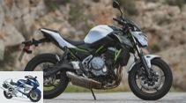 Top 10 Kawasaki top sellers in Germany from 2010 to 2019