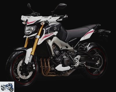 Yamaha MT-09 850 STREET RALLY 2015