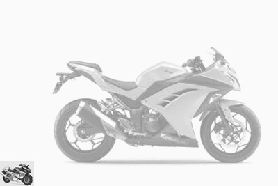 Kawasaki Ninja 300 R 30th anniversary 2015 technical