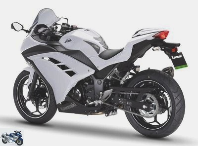 Kawasaki Ninja 300 Performance 2014