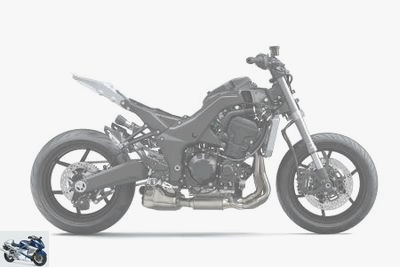 Kawasaki Ninja 1000 SX 2020 technical