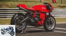 deBolex Ducati 803 classic conversion Scrambler 800 base