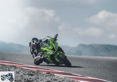 Kawasaki Ninja 1000 ZX-10RR Performance 2019