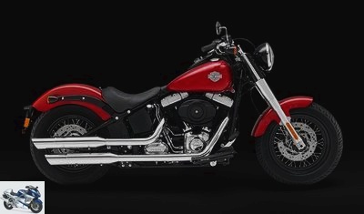 Harley-Davidson 1690 SOFTAIL SLIM FLS 2015