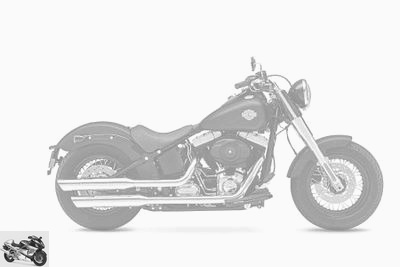 Harley-Davidson 1690 SOFTAIL SLIM FLS 2015 technique