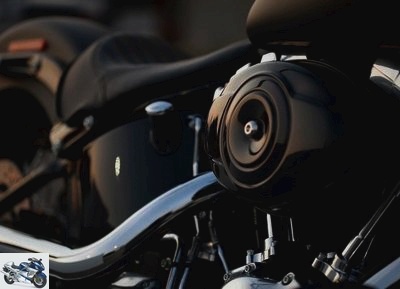 Harley-Davidson 1690 SOFTAIL SLIM FLS 2012