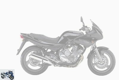 Yamaha XJ 600 Diversion N and S 1993 technique