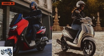 News - Yamaha Nmax and D'elight compact scooters evolve for 2021 - Used YAMAHA