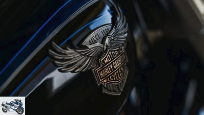 Anniversary Harley Davidson special models 115th Anniversary