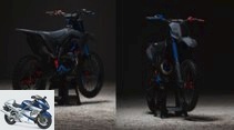 Kawasaki KX 450 F 3D Core 2019 Alvaro Dal Farra