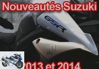 News - New Suzuki: a GSR1000 and a DL1000 in 2014? - Used SUZUKI
